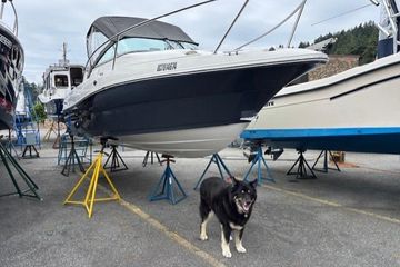2021 Campion Allante 21 OB Bowrider