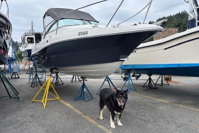 2021 Campion Allante 21 OB Bowrider