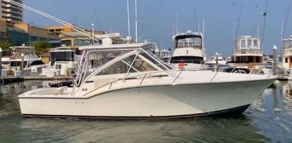 Carolina Classic 32 2006 Carolina Classic 32 Express boat docked in a marina.
