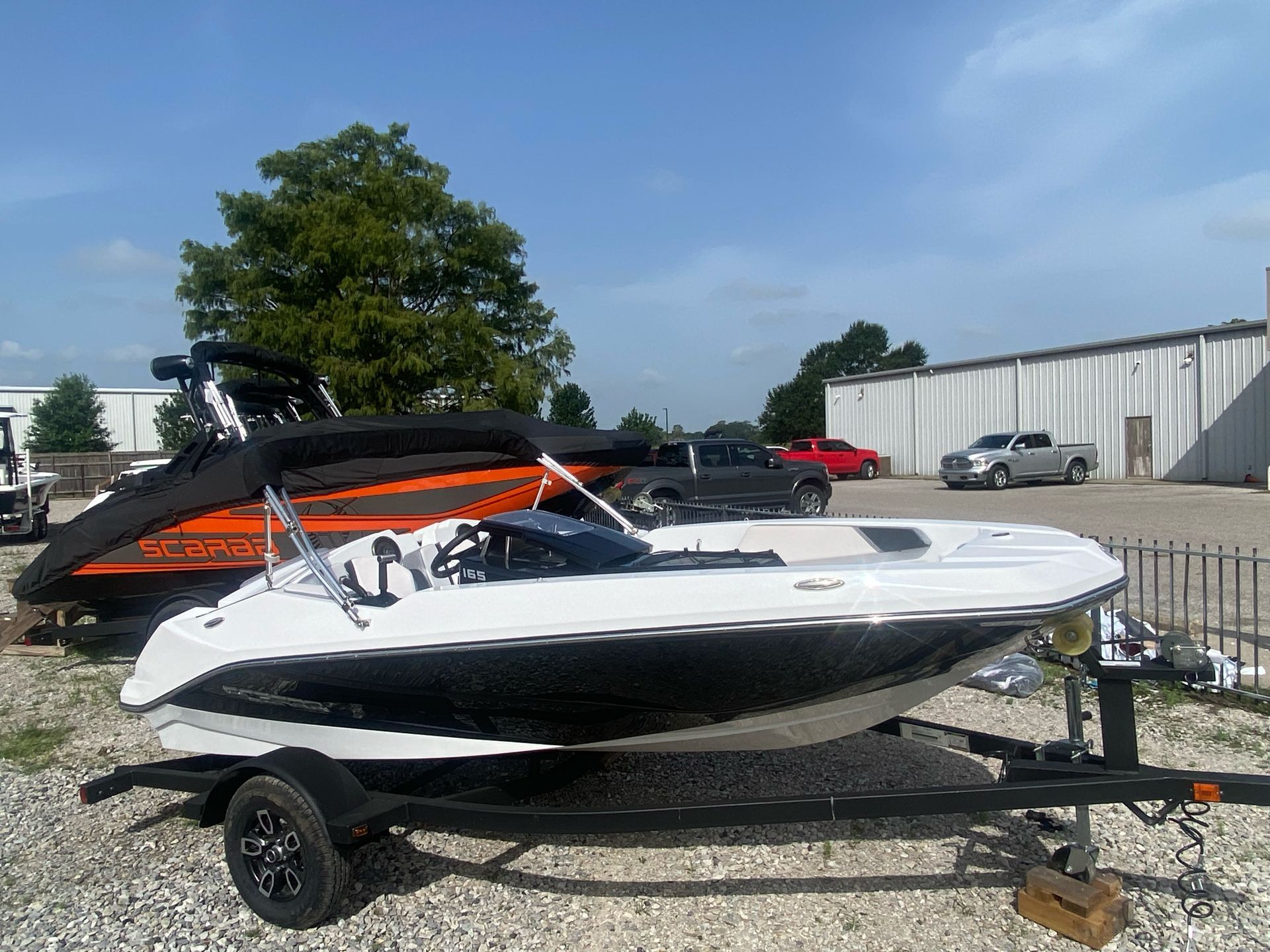 Scarab 165
