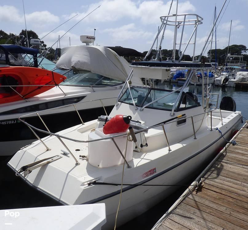 Used Sea Cat boats for sale - boats.com