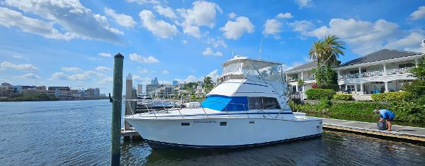 Bertram 38 Convertible 1982 Bertram 38 Convertible yacht docked by waterfront homes under a blue sky.
