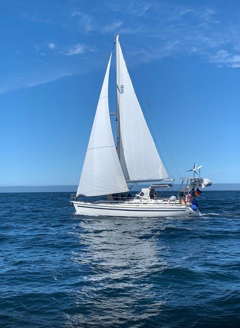 2001 Schoechl Sunbeam 39