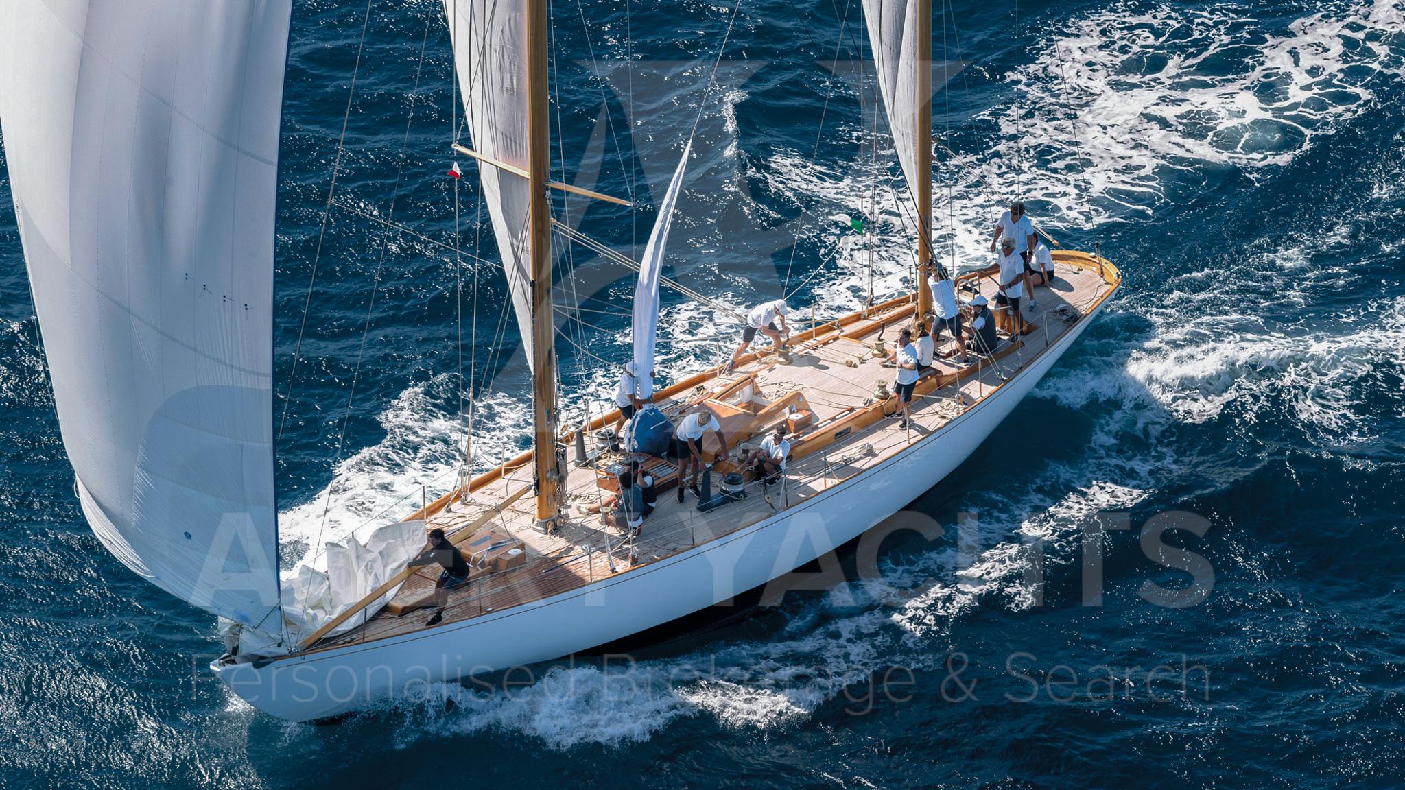 Frers 20m