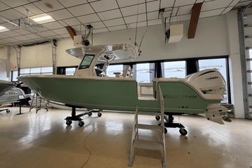 2025 Sailfish 272 CC