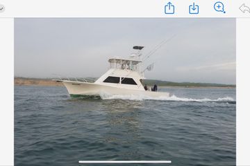 1989 Torres 43