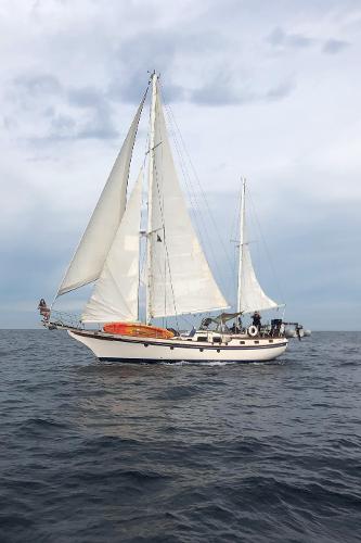 1981 Vagabond 47