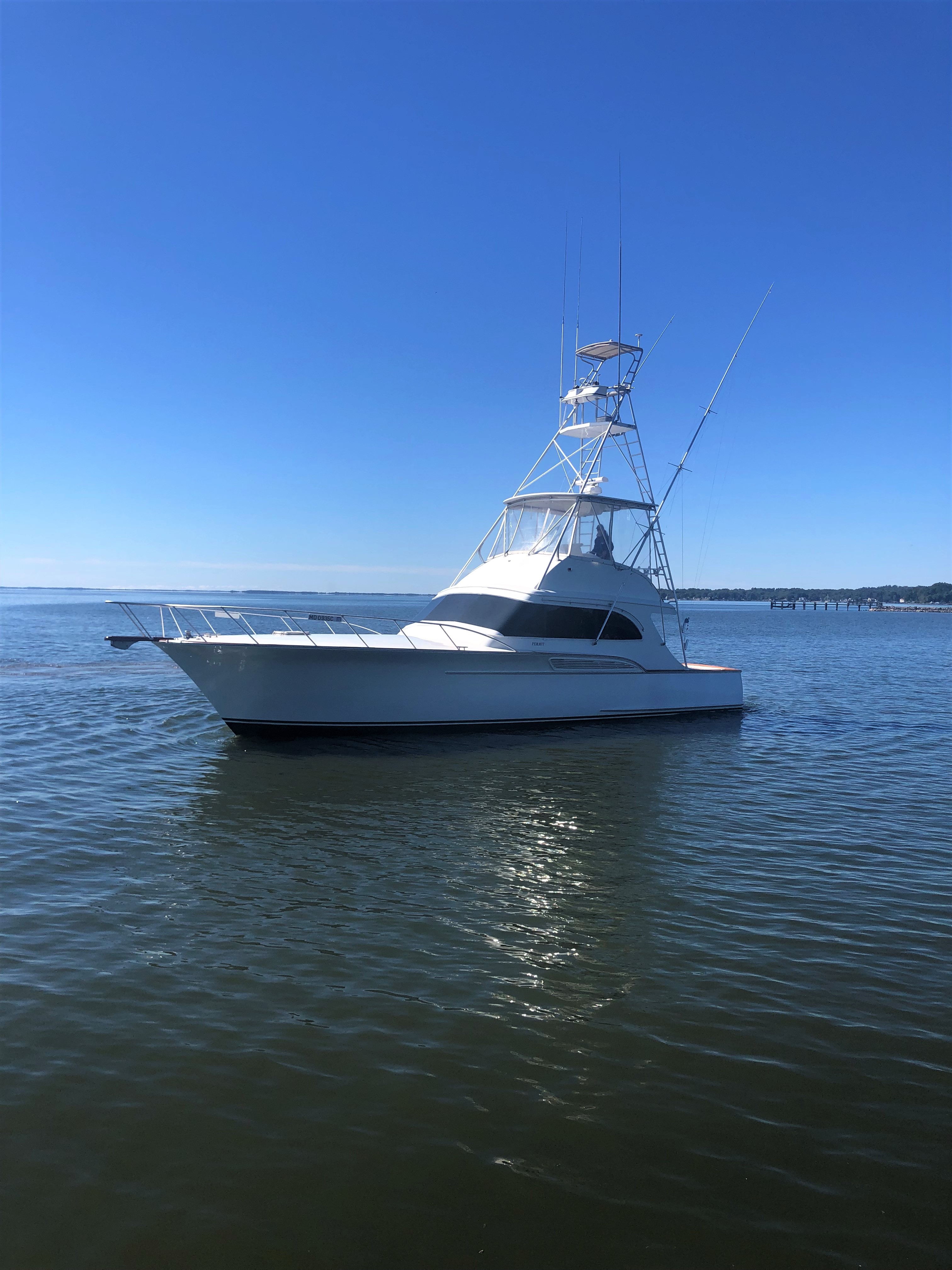 Buddy Davis boats for sale