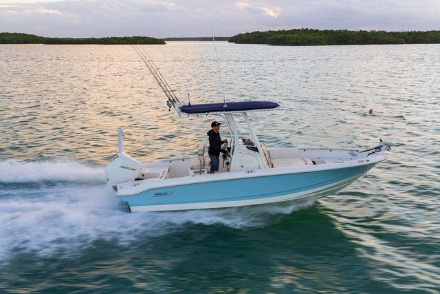 2025 Boston Whaler 220 Dauntless