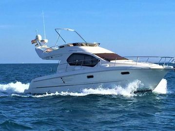 2009 Altair Zafir 38