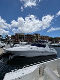 2007 Sea Ray 340 Sundancer