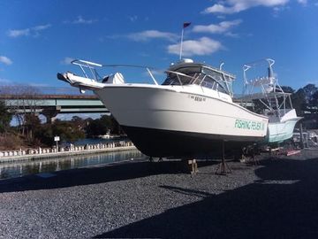 1999 Shamrock 290 Walkaround