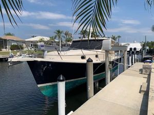 Mainship Pilot 34 2008 Mainship Pilot 34 docked by palm trees on a sunny day.
