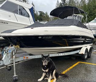 2008 Sea Ray 210 Sundeck