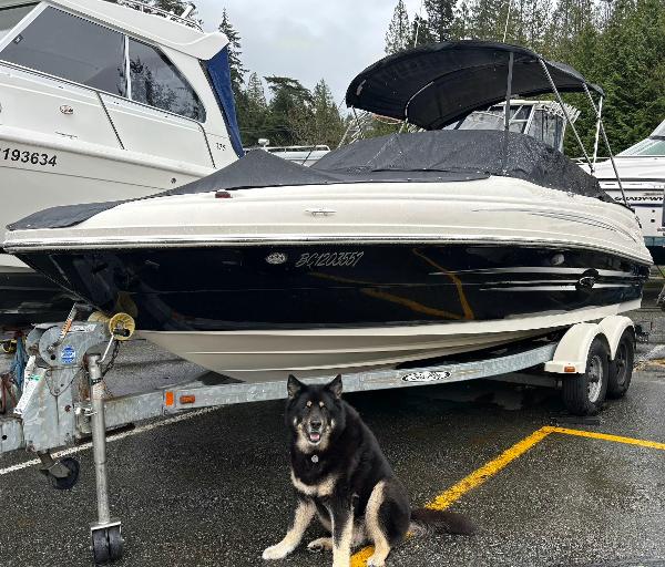 2008 Sea Ray 210 Sundeck