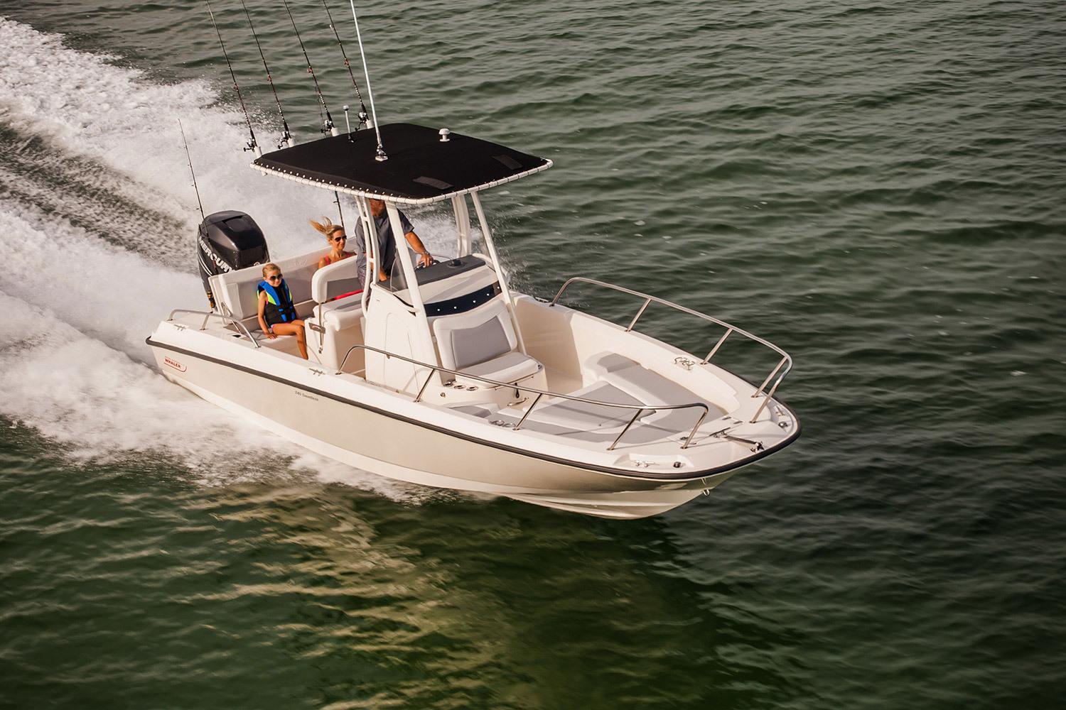 2025 Boston Whaler 250 Dauntless