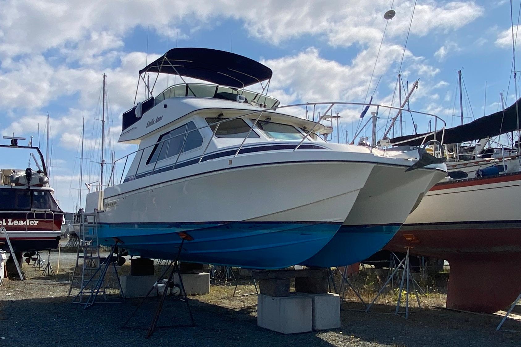 2003 Zeta 36
