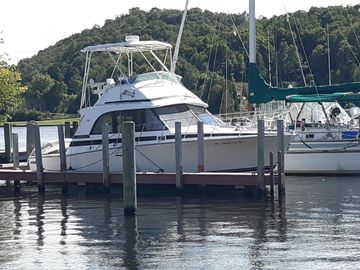 1987 Bertram Flybridge Cruiser