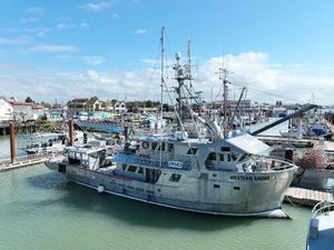 Custom Expedition Yacht Custom 1989 Expedition Yacht docked at marina under clear blue sky.