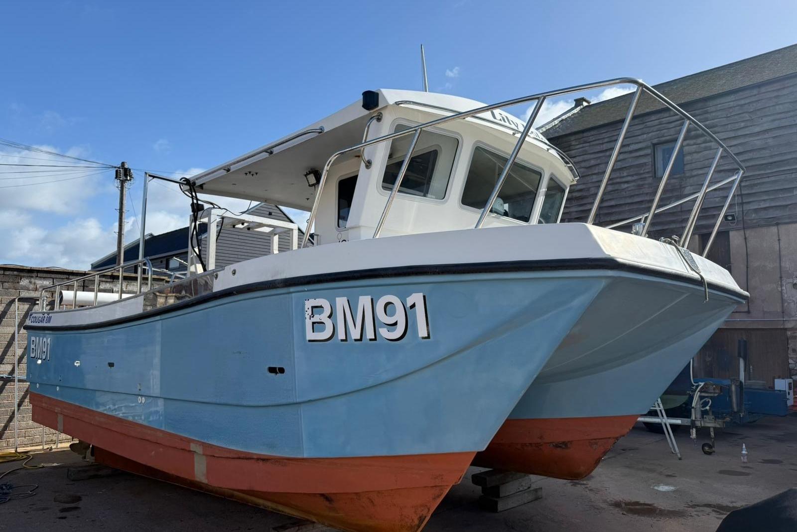 2010 Cougar Catamaran