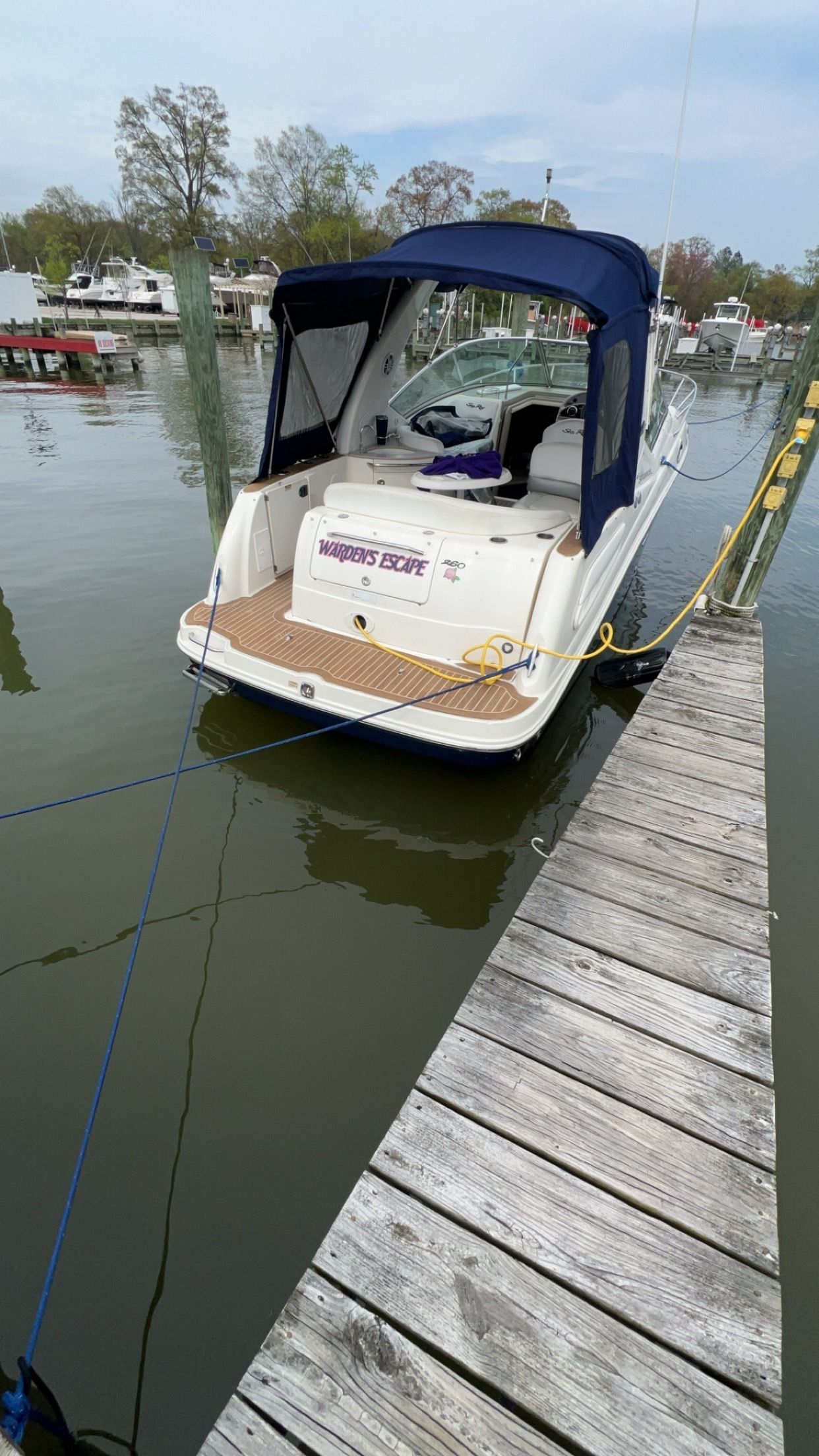 2007 Sea Ray 260 Sundancer