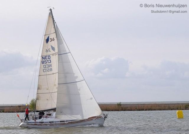 Bavaria 36