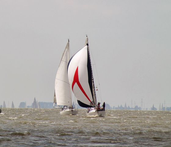 Bavaria 36