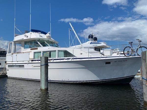 bertram 42 motor yacht