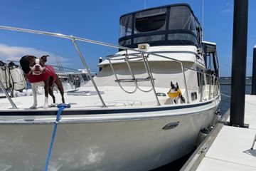 1988 Tollycraft 40 Sundeck Motor Yacht