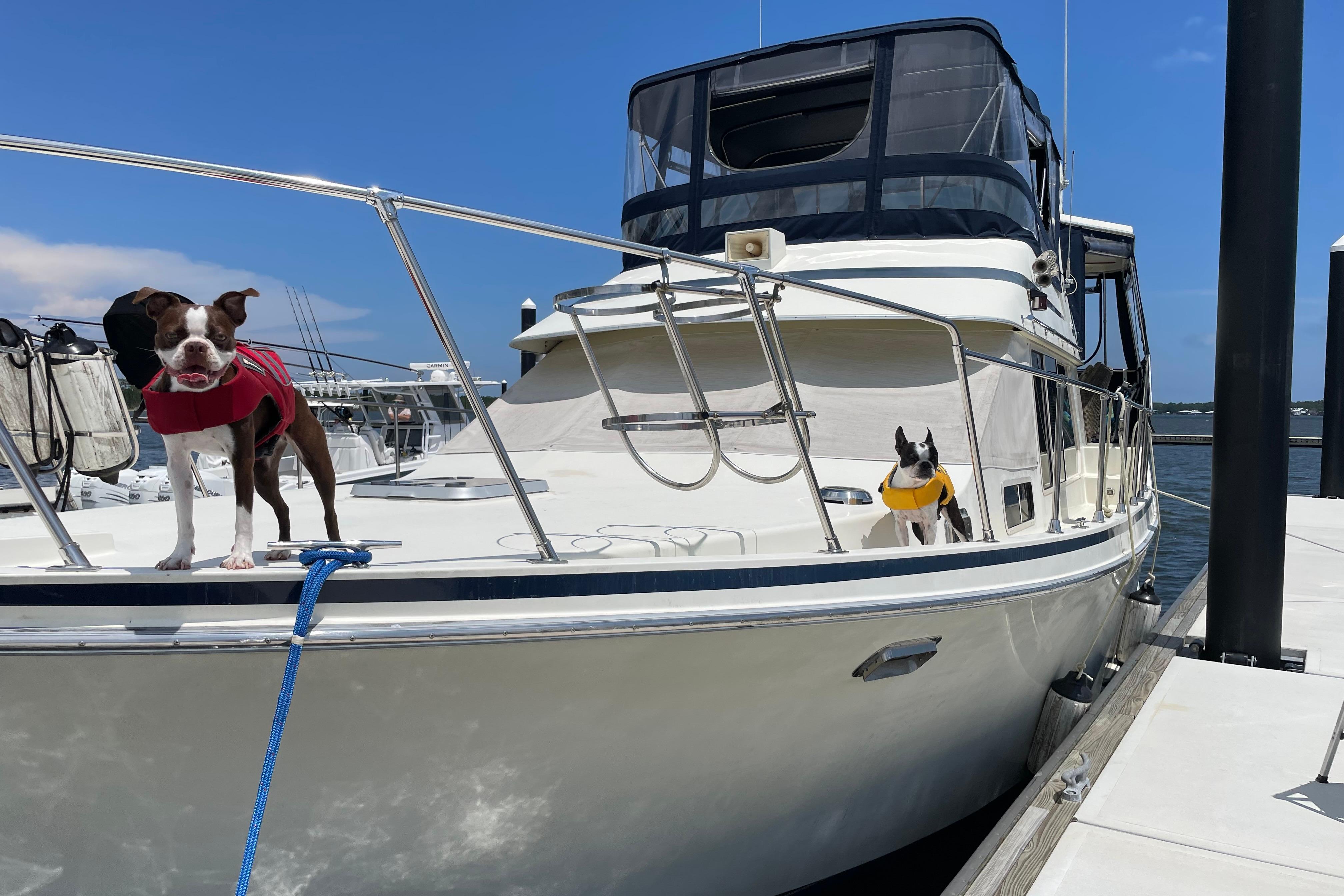 1988 Tollycraft 40 Sundeck Motor Yacht