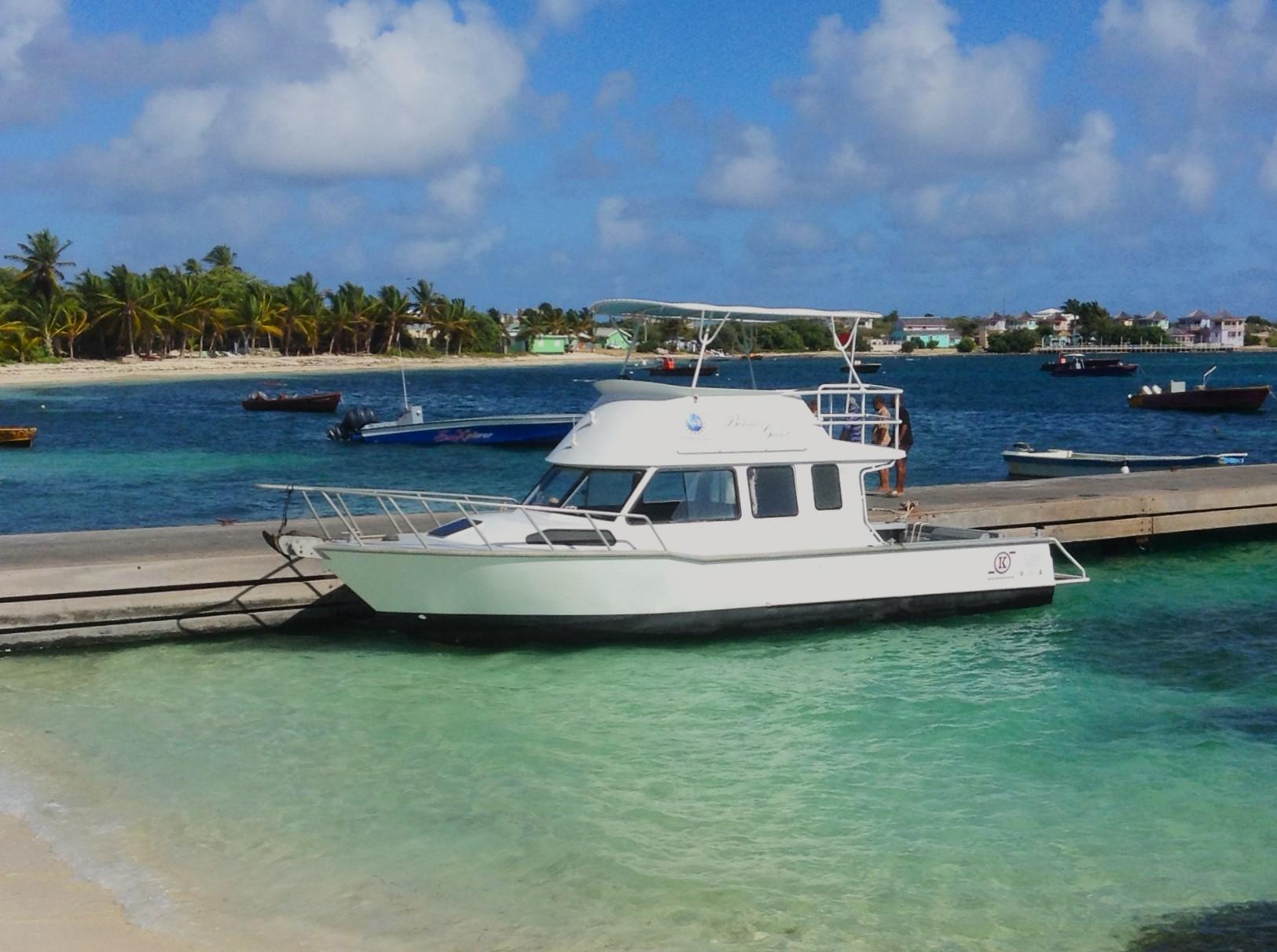 Outboard day fishing boat - PYBUS OFFSHORE 21' - Wooldridge - wheelhouse /  aluminum