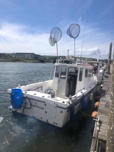 osprey boats nz