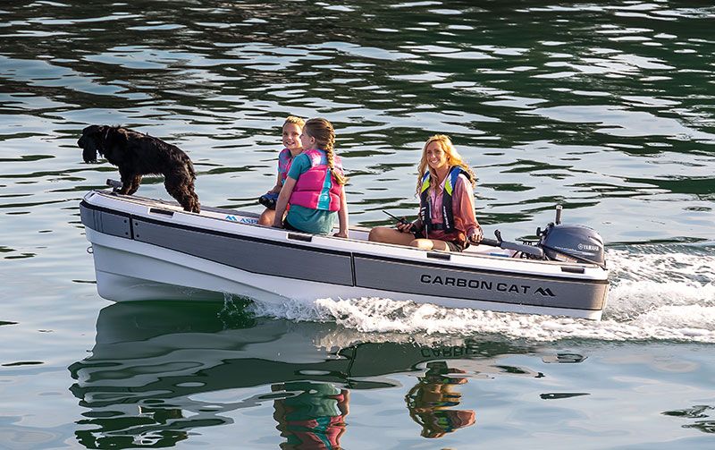 2025 Aspen Carbon Cat T11