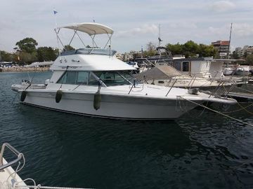 1995 Sea Ray Amberjack 31