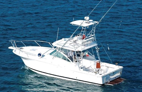 Luhrs 36 Open Image 1