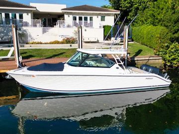 2017 Pursuit DC 295 Dual Console