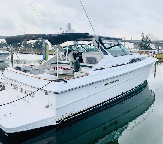 Sea Ray 39 1989 Sea Ray 39 Express Cruiser