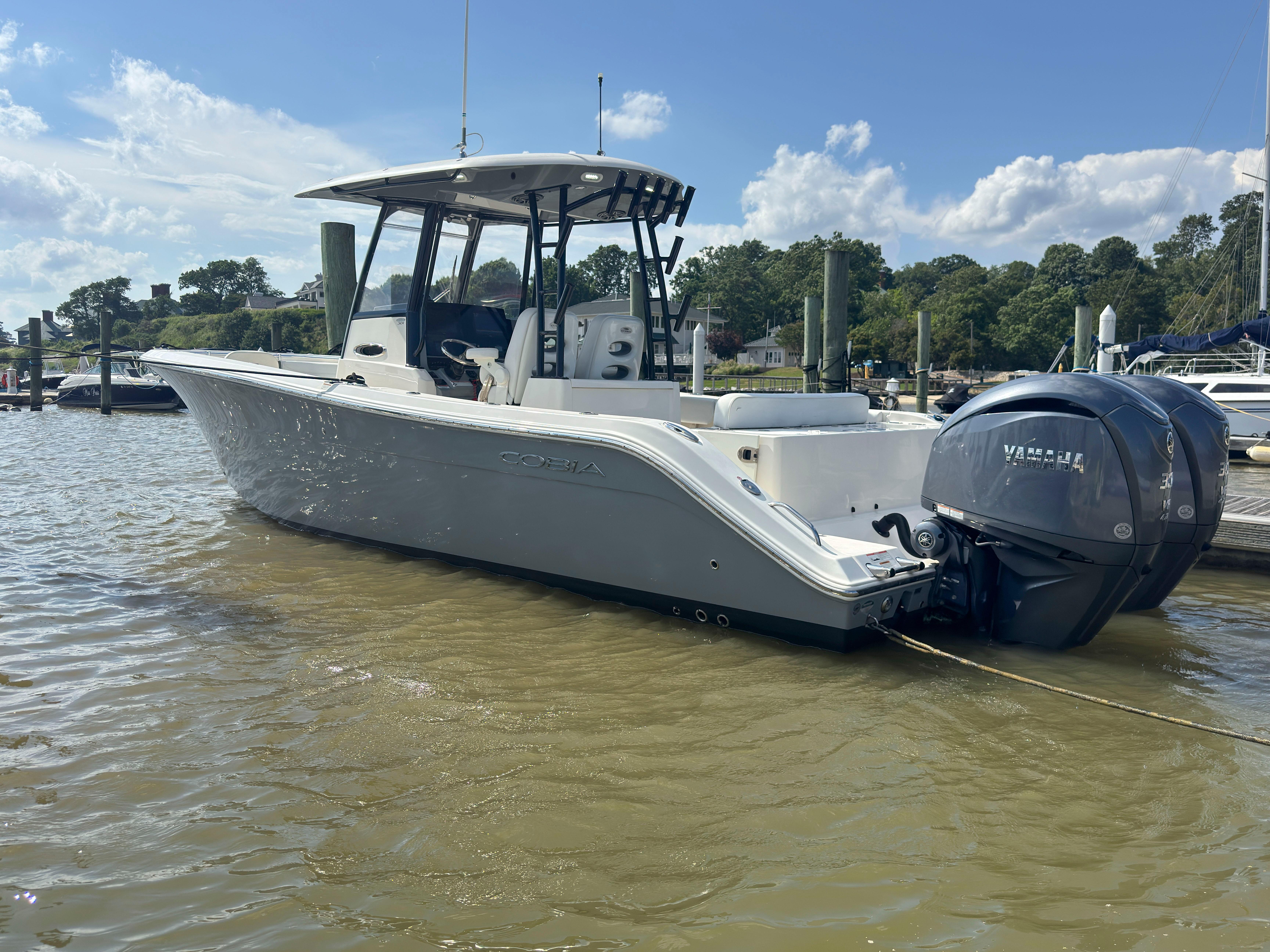 Cobia 301