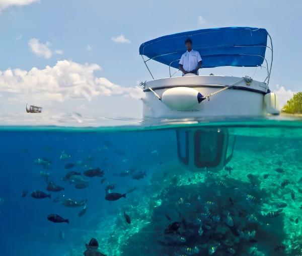 Penguin Semi-Submarine 2.0 Electric 2023 Penguin Semi-Submarine 2.0 Electric exploring vibrant underwater marine life.