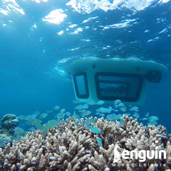 2025 Penguin Semi-Submarine 2.1 Gasoline