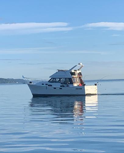 1992 Bayliner 3288 Motoryacht