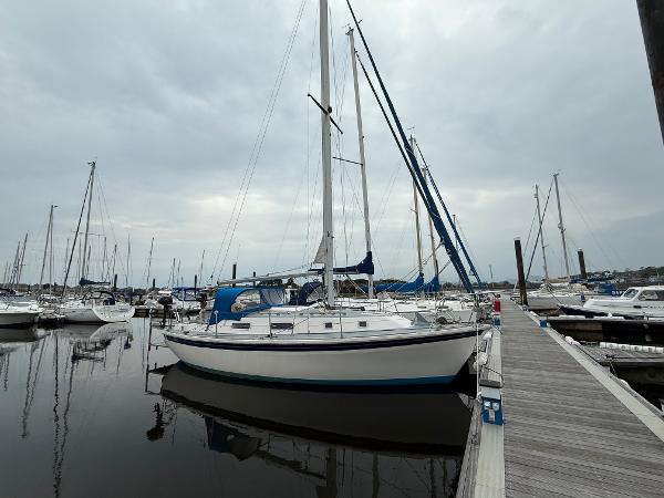 Westerly Konsort