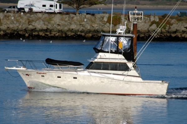 Viking Sportfish