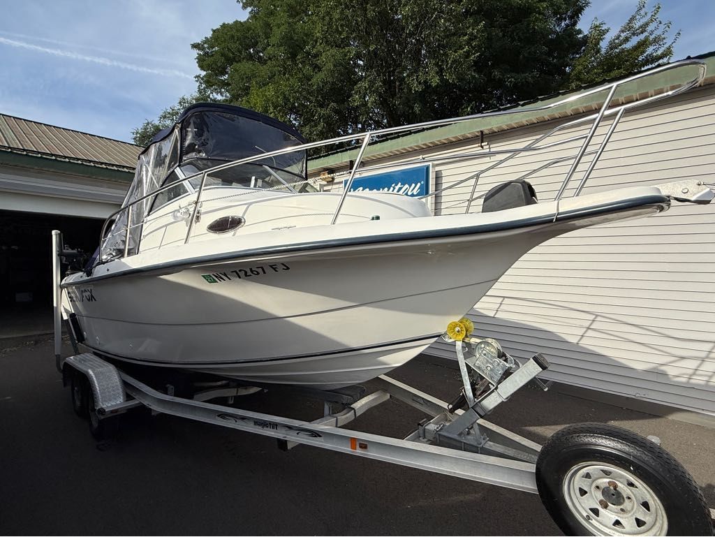 2002 Sea Fox 210 Walk Around