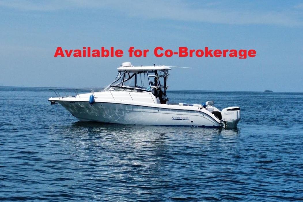 2002 Century 3200 Walk-Around