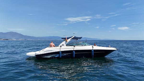 2006 Sea Ray 295