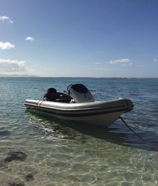 2014 Rib-X XP590