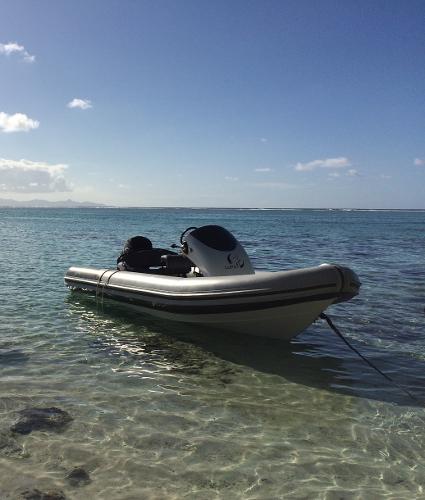 2014 Rib-X xp 590