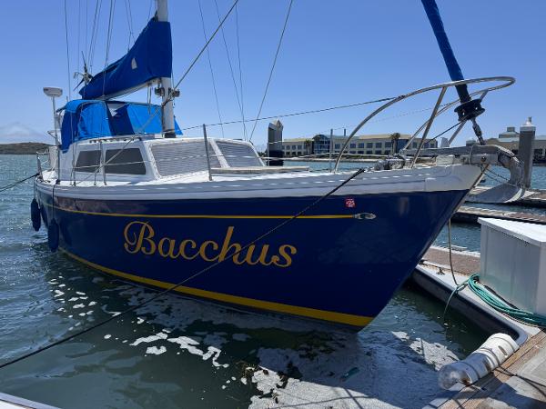 1973 Columbia 41