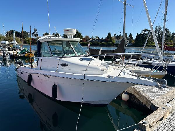Seaswirl Striper 2601 Walkaround